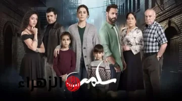 جلال يكشف موعد عرض حلقة 77 من مسلسل سلمى على CBC
